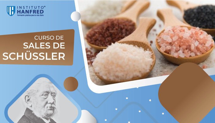cursos_sales_schussler