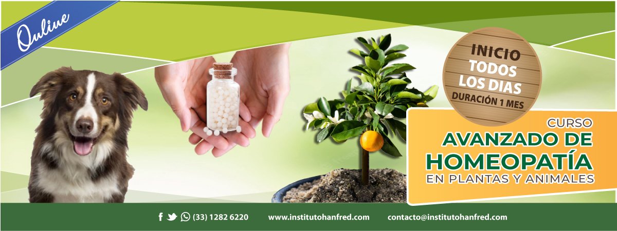 Curso Homeopatía Avanzada