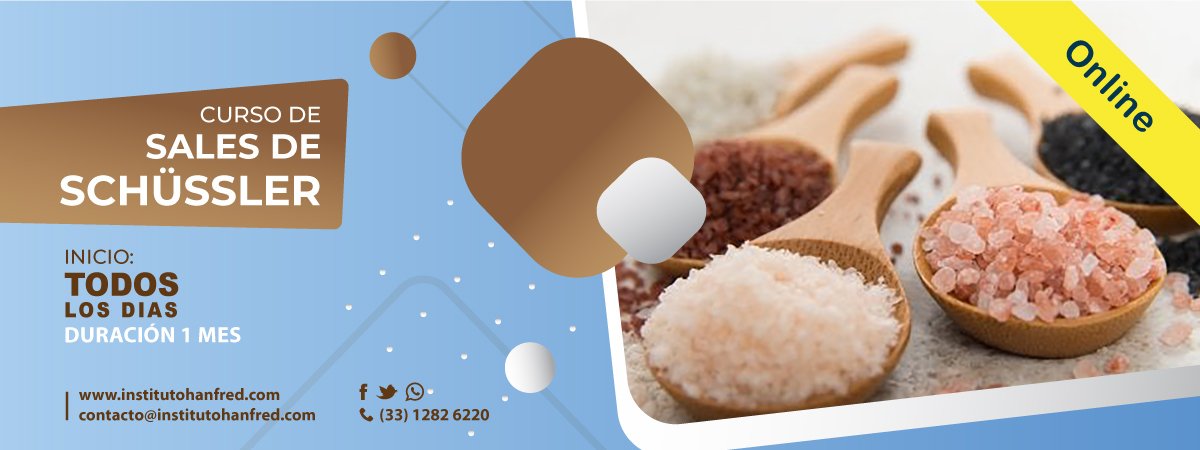 curso-sales-schüssler